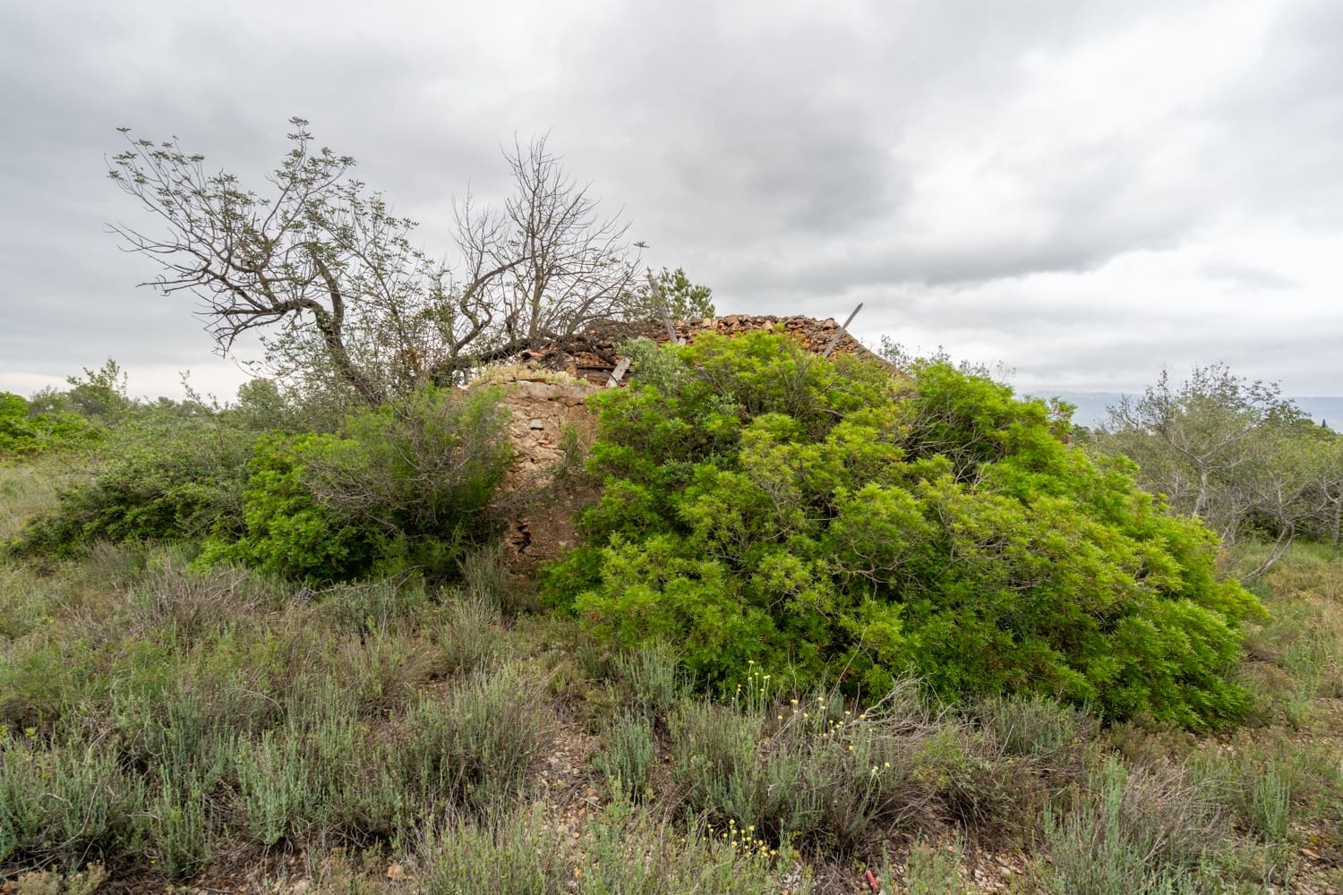 Finka/Dom wiejski na sprzedaż w Tortosa - 13 000 € (Ref: 8962640)