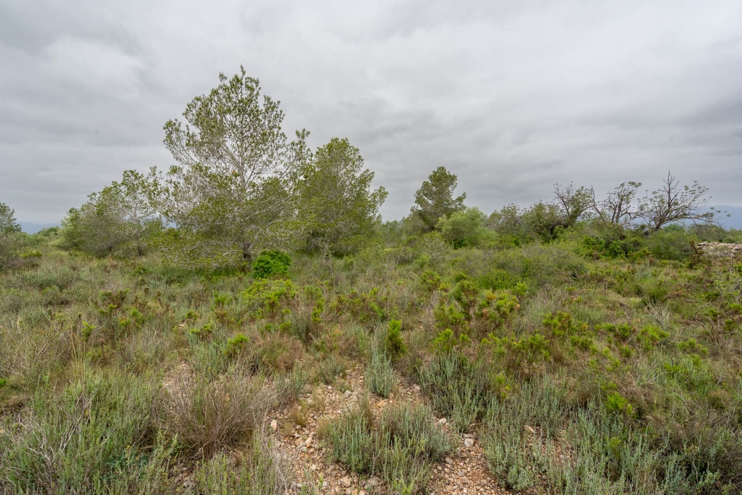 Finka/Dom wiejski na sprzedaż w Tortosa - 13 000 € (Ref: 8962640)