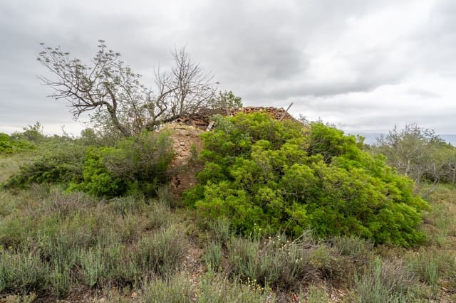 Quinta/Casa Rural para venda em Tortosa - 13 000 € (Ref: 8962640)
