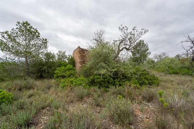 Quinta/Casa Rural para venda em Tortosa - 13 000 € (Ref: 8962640)