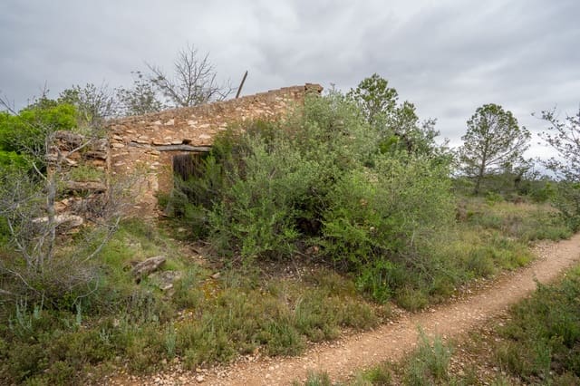 Quinta/Casa Rural para venda em Tortosa - 13 000 € (Ref: 8962640)