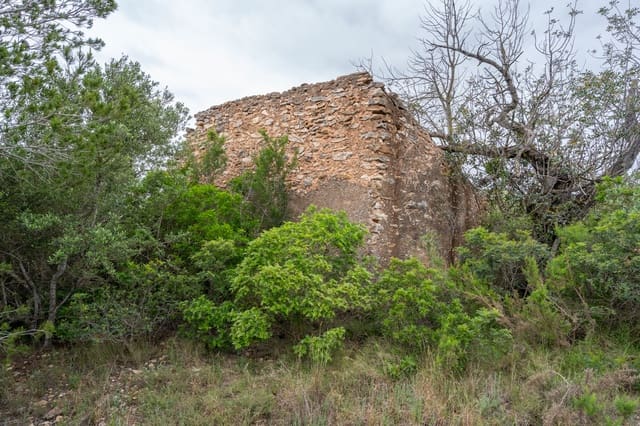 Quinta/Casa Rural para venda em Tortosa - 13 000 € (Ref: 8962640)