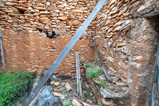 Quinta/Casa Rural para venda em Tortosa - 13 000 € (Ref: 8962640)