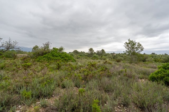 Finca/Casa Rural en Tortosa en venta - 13.000 € (Ref: 8962640)