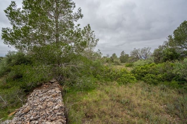 Finca/Casa Rural en Tortosa en venta - 13.000 € (Ref: 8962640)