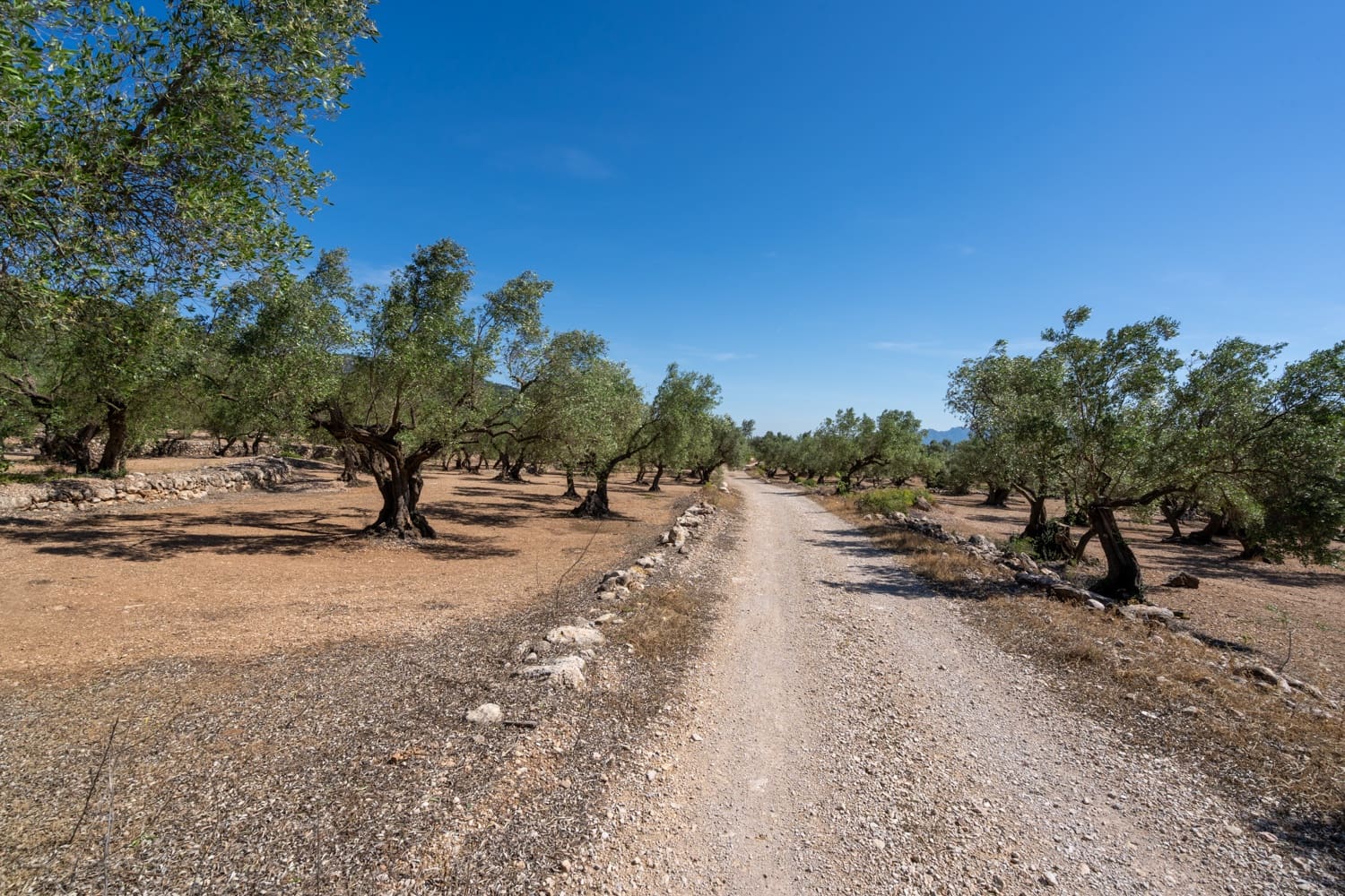 Finca/Landehus til salg i Roquetes - € 48.000 (Ref: 9008783)