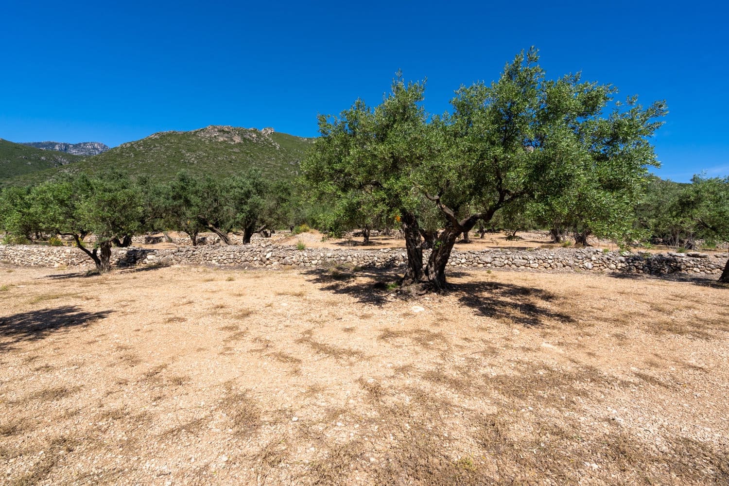 Finca/Hus på landet till salu i Roquetes - 48 000 € (Ref: 9008783)