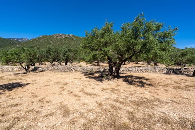 Finca/Landgut zu verkaufen in Roquetes - 48.000 € (Ref: 9008783)