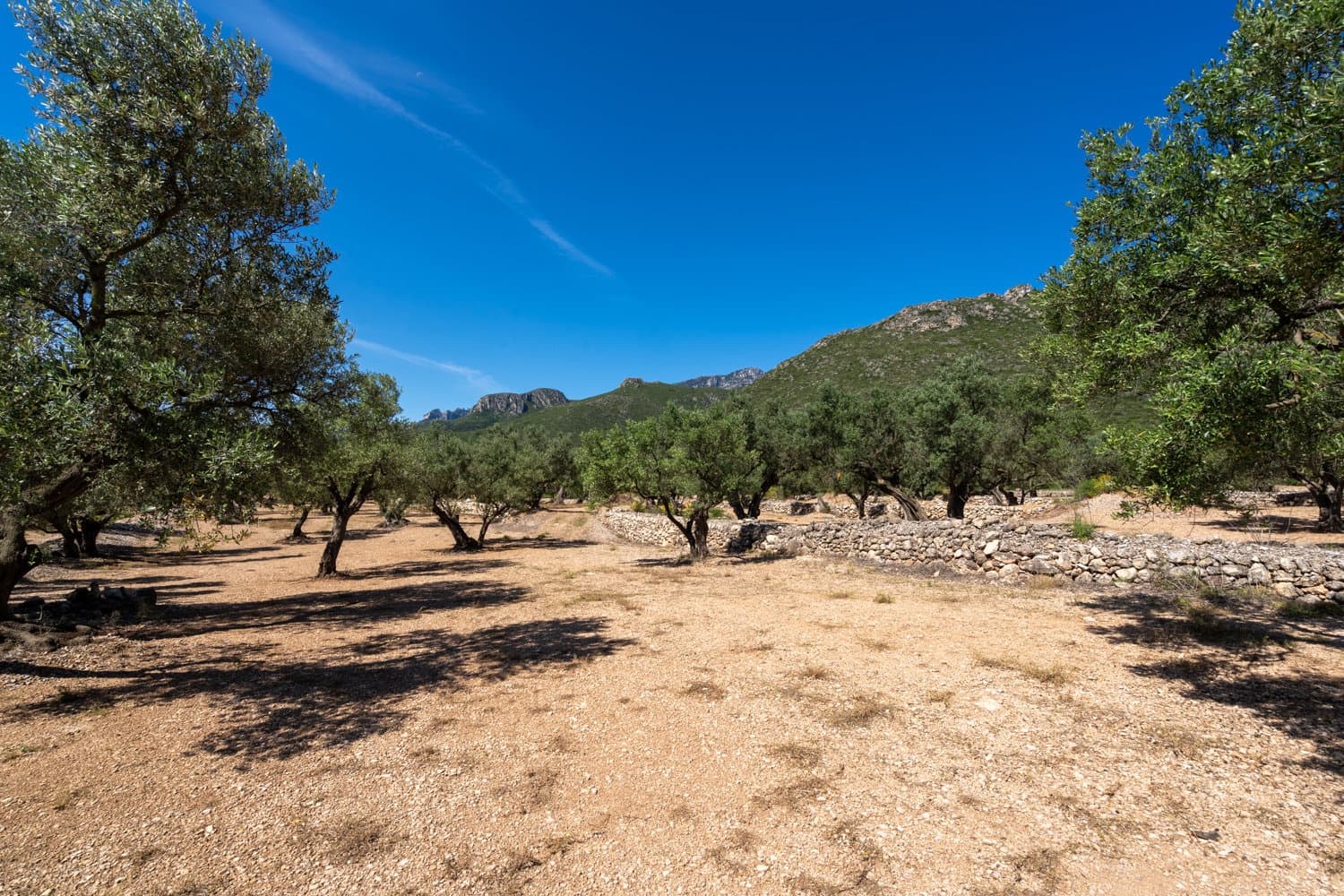 Finca/Hus på landet till salu i Roquetes - 48 000 € (Ref: 9008783)