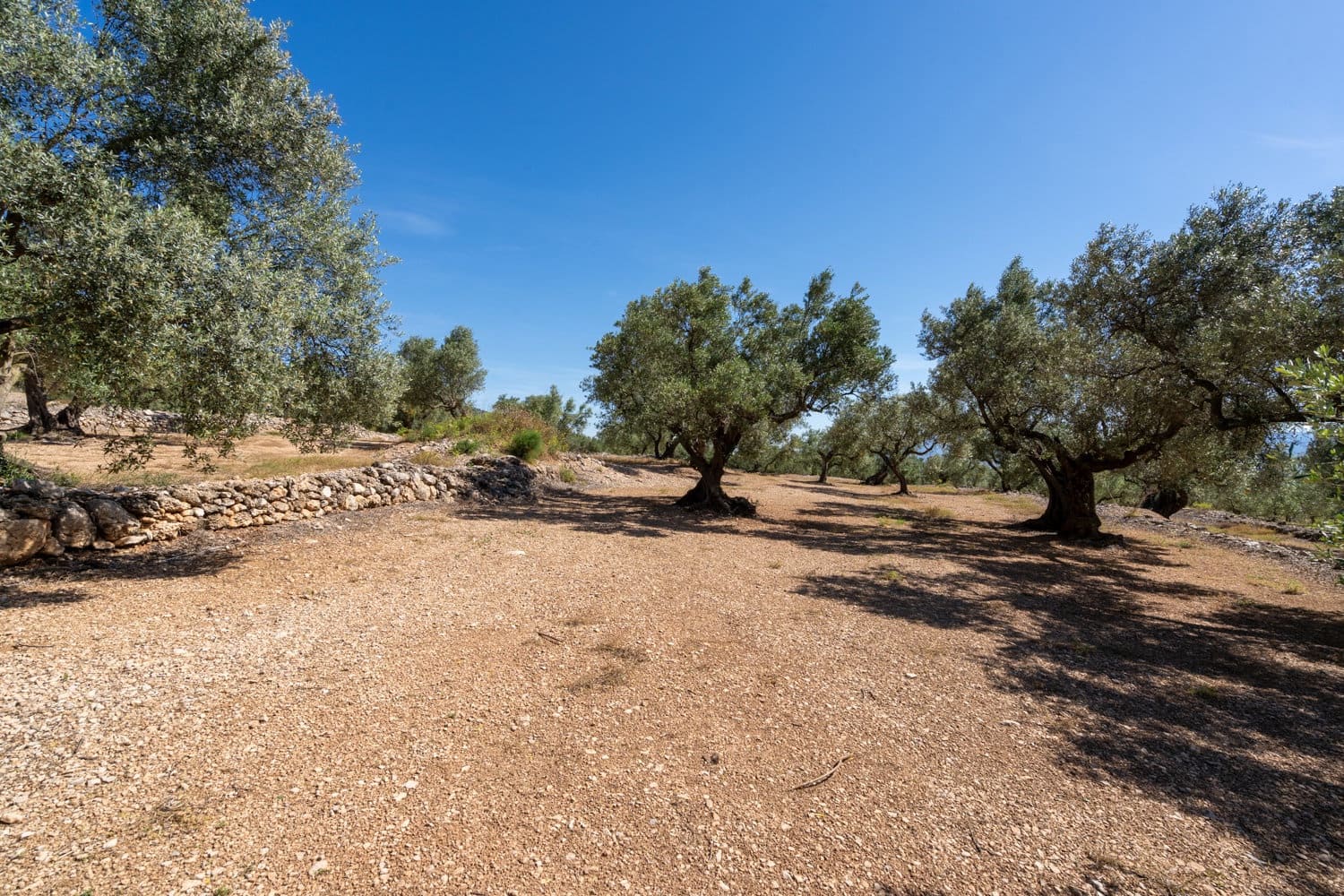Finca/Hus på landet till salu i Roquetes - 48 000 € (Ref: 9008783)