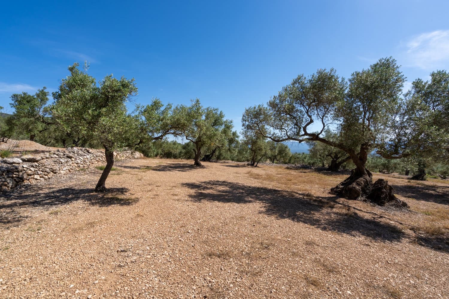 Finca/Hus på landet till salu i Roquetes - 48 000 € (Ref: 9008783)
