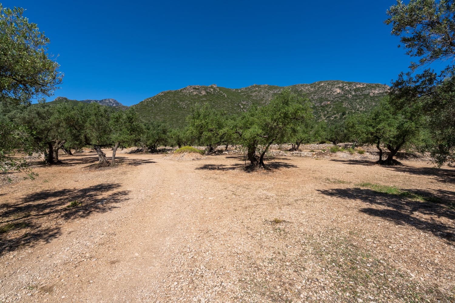 Finca/Hus på landet till salu i Roquetes - 48 000 € (Ref: 9008783)