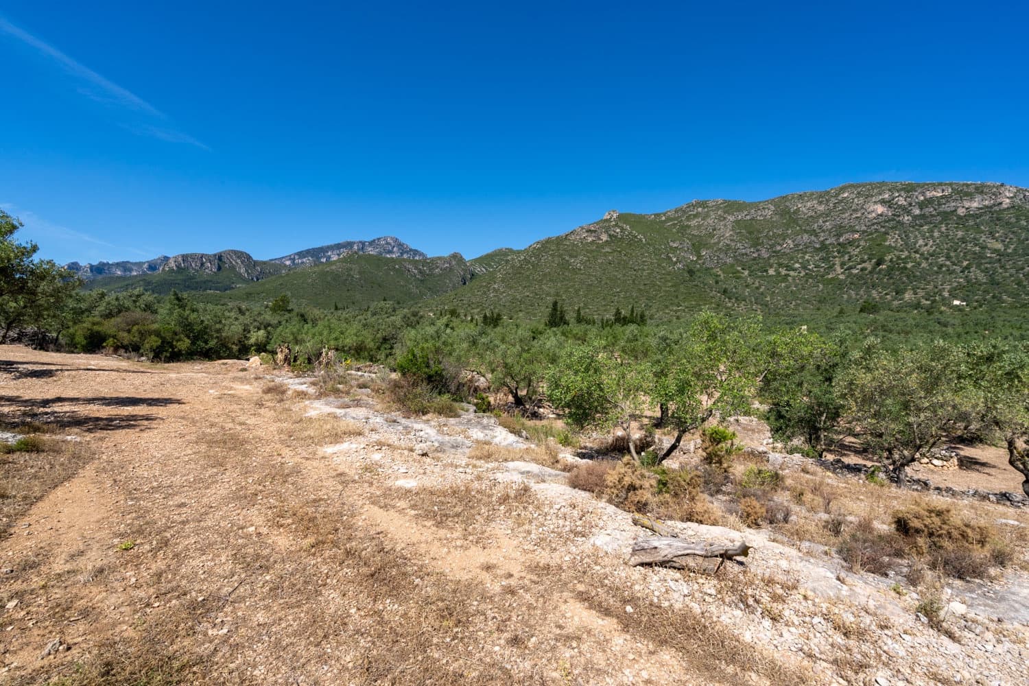 Finca/Hus på landet till salu i Roquetes - 48 000 € (Ref: 9008783)