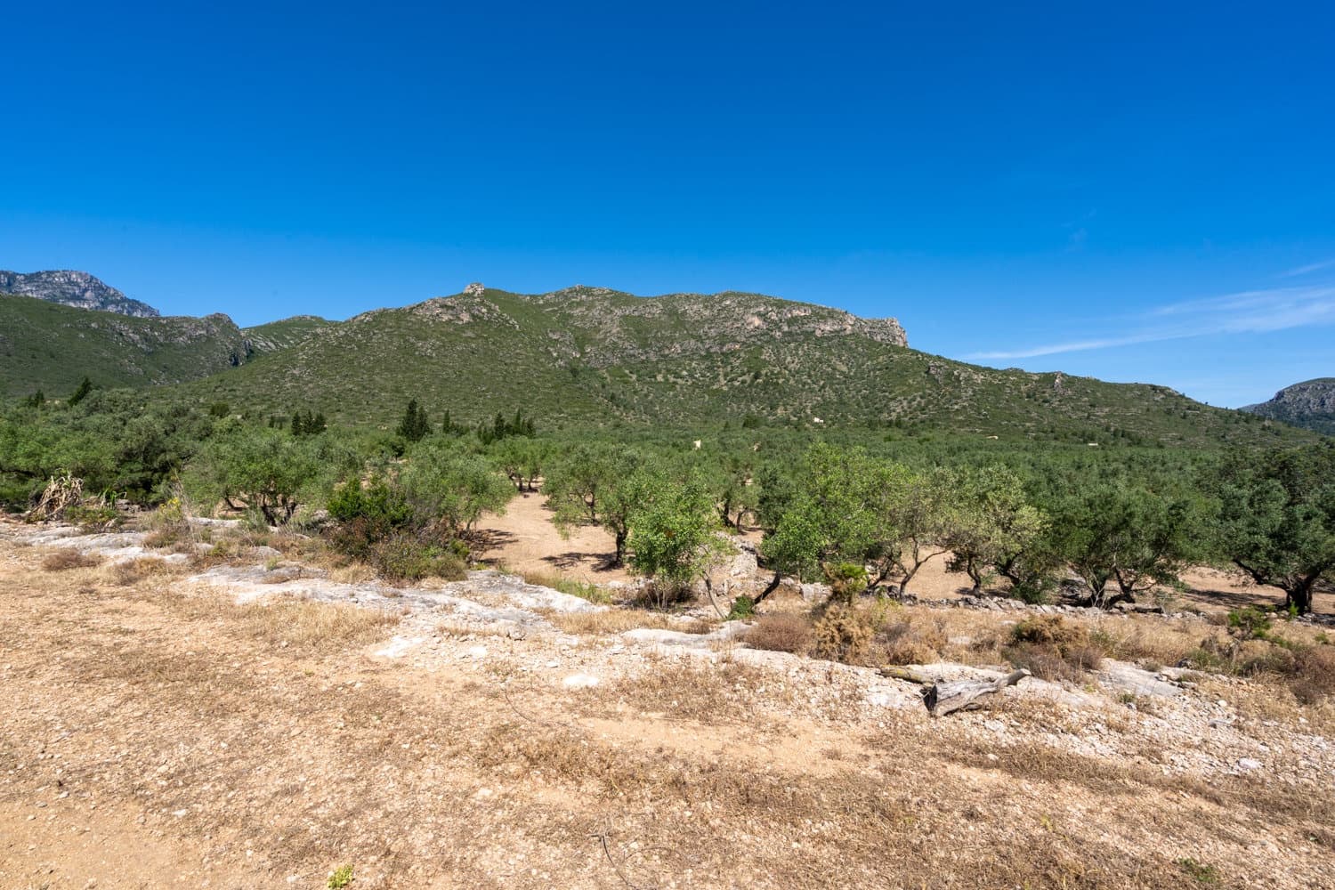 Finca/Hus på landet till salu i Roquetes - 48 000 € (Ref: 9008783)