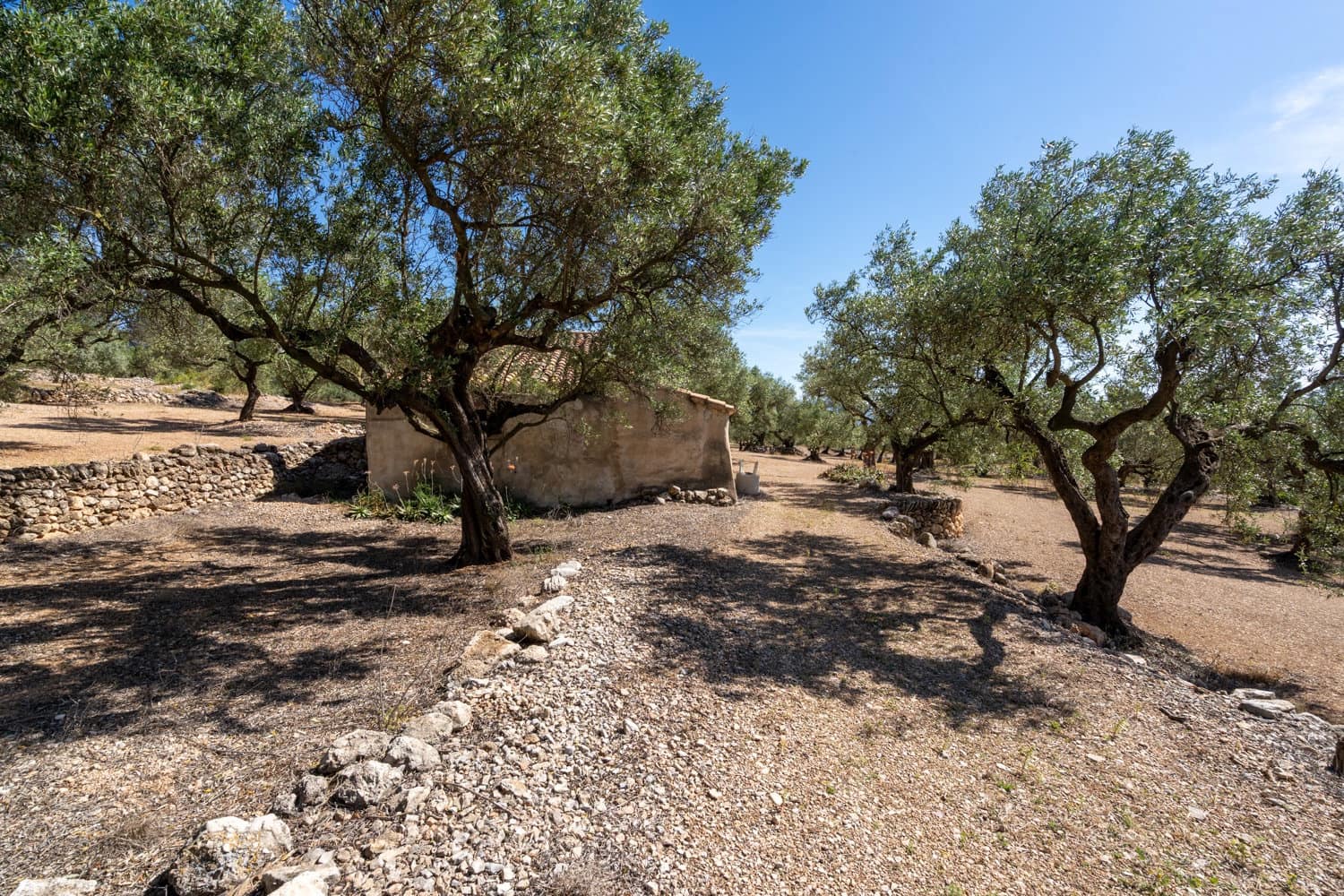 Finca/Hus på landet till salu i Roquetes - 48 000 € (Ref: 9008783)