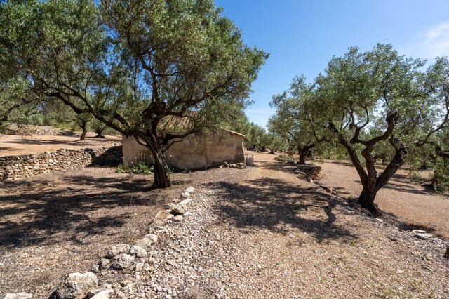 Finca/Landgut zu verkaufen in Roquetes - 48.000 € (Ref: 9008783)