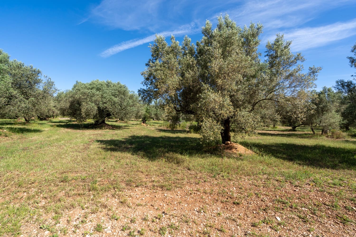 Finca/Landehus til salg i Roquetes - € 86.000 (Ref: 9008784)