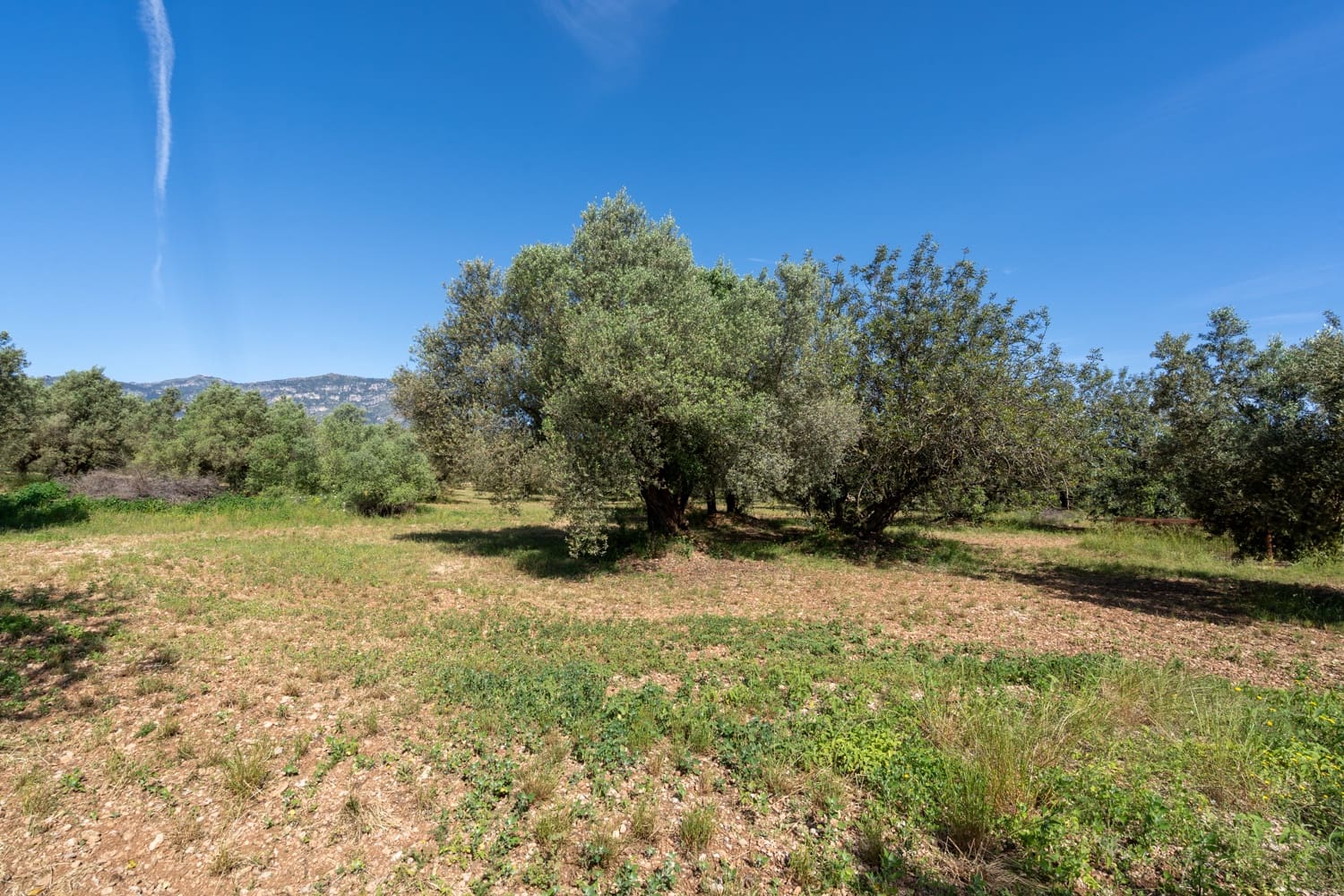 Finca/Landehus til salg i Roquetes - € 86.000 (Ref: 9008784)