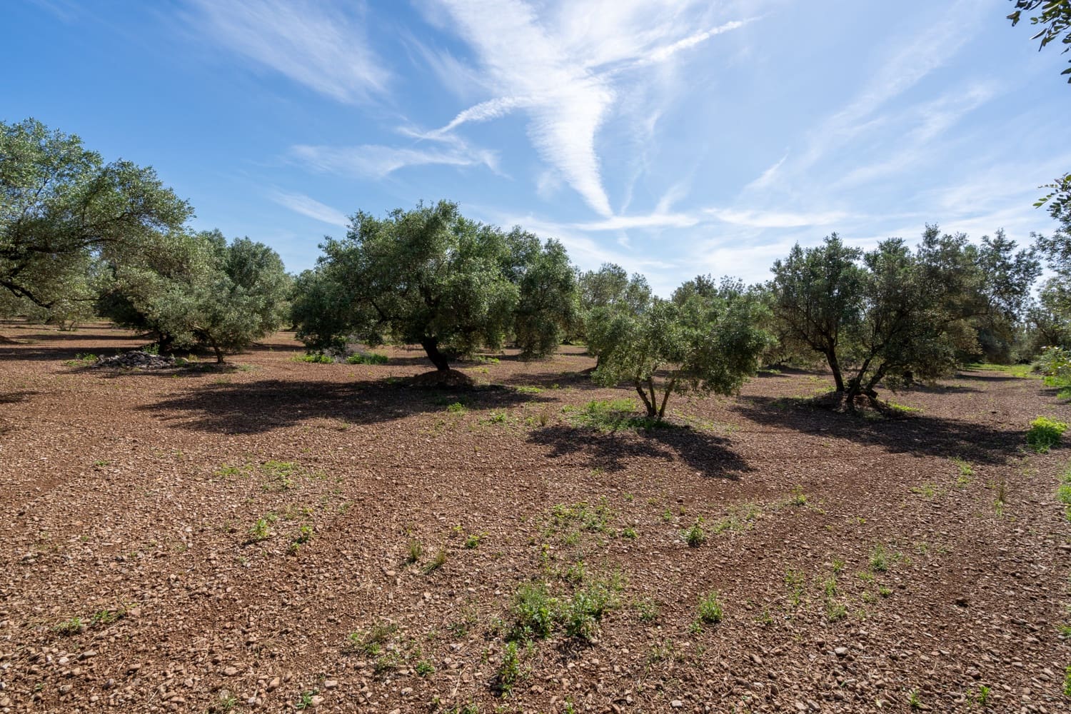 Finca/Landehus til salg i Roquetes - € 86.000 (Ref: 9008784)