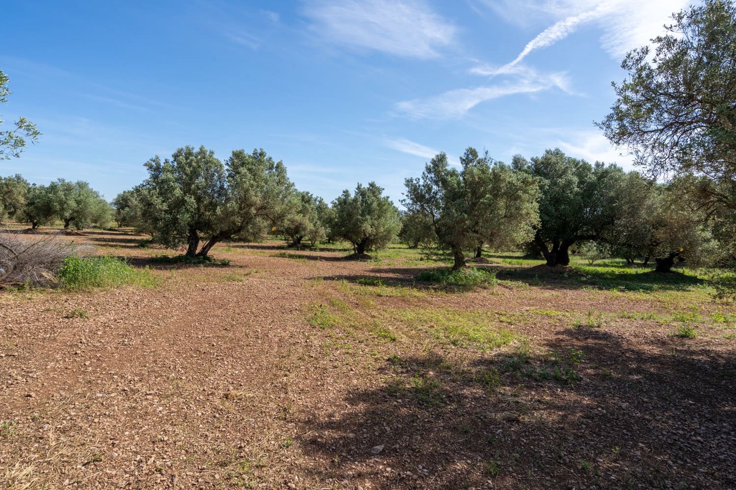 Finca/Country House for sale in Roquetes - € 86,000 (Ref: 9008784)