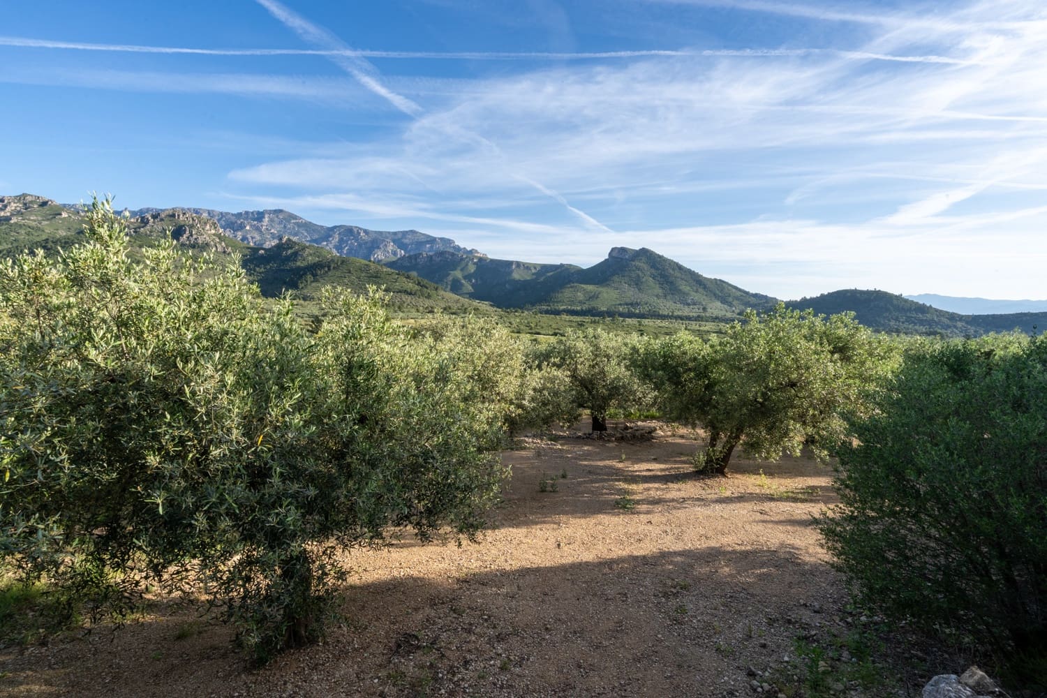 Finca/Herregård til salgs i Mas de Barberans - € 6 000 (Ref: 9008785)