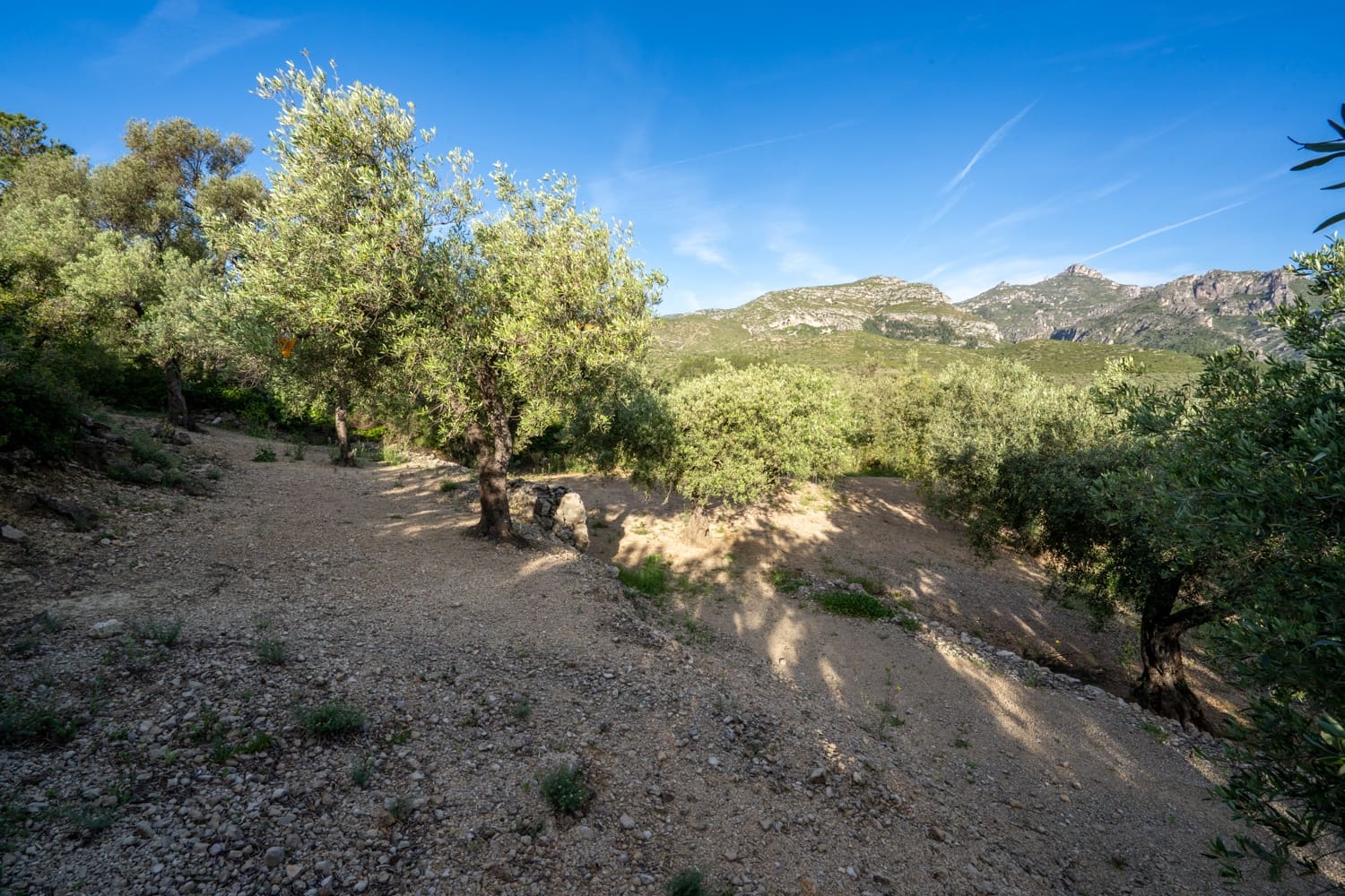 Finca/Herregård til salgs i Mas de Barberans - € 6 000 (Ref: 9008785)