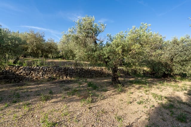 Finca/Herregård til salgs i Mas de Barberans - € 6 000 (Ref: 9008785)