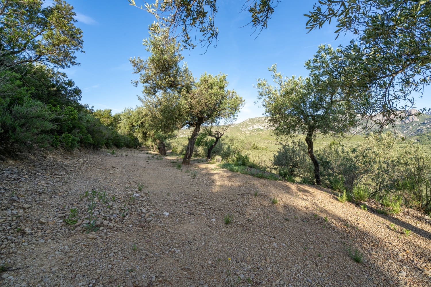 Finca/Herregård til salgs i Mas de Barberans - € 6 000 (Ref: 9008785)