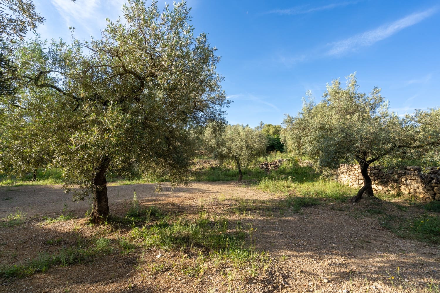 Finca/Herregård til salgs i Mas de Barberans - € 6 000 (Ref: 9008785)