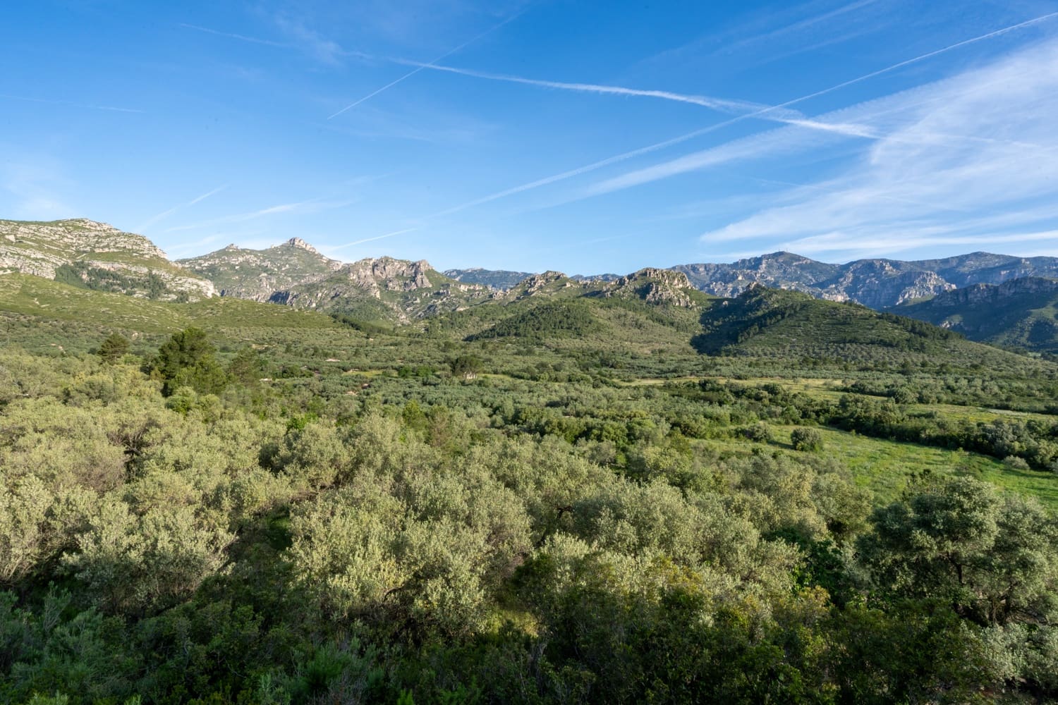 Finca/Herregård til salgs i Mas de Barberans - € 6 000 (Ref: 9008785)