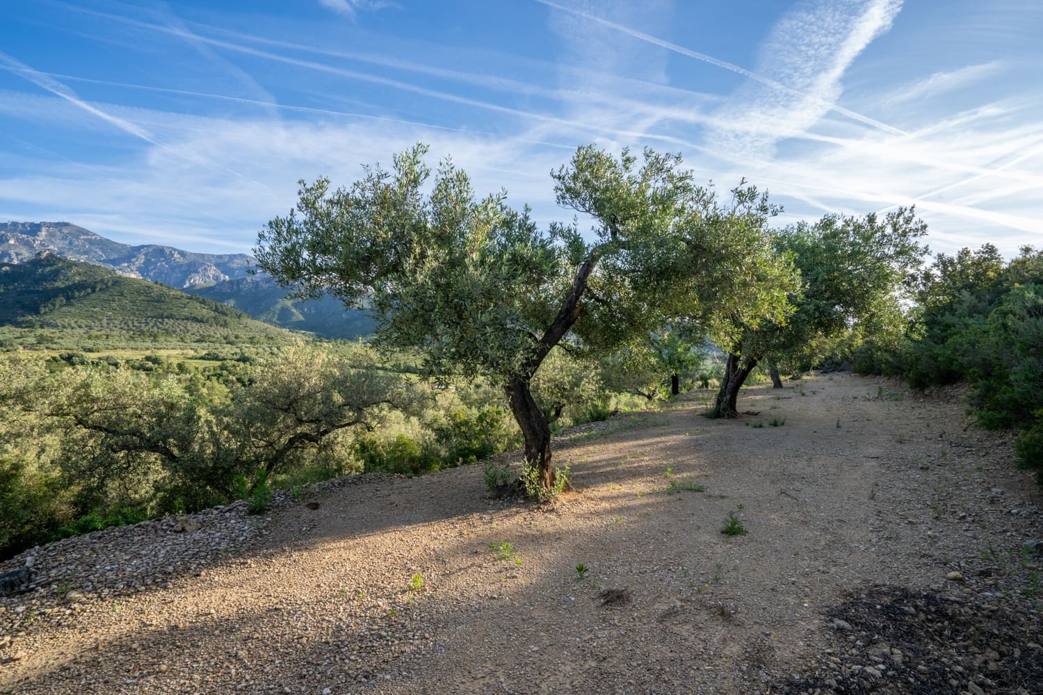 Finca/Herregård til salgs i Mas de Barberans - € 6 000 (Ref: 9008785)