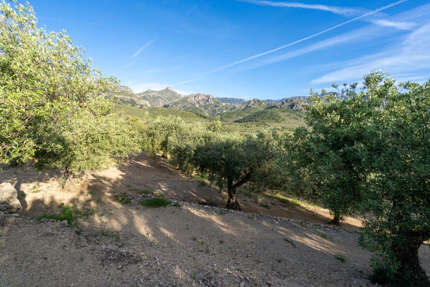 Finca/Herregård til salgs i Mas de Barberans - € 6 000 (Ref: 9008785)