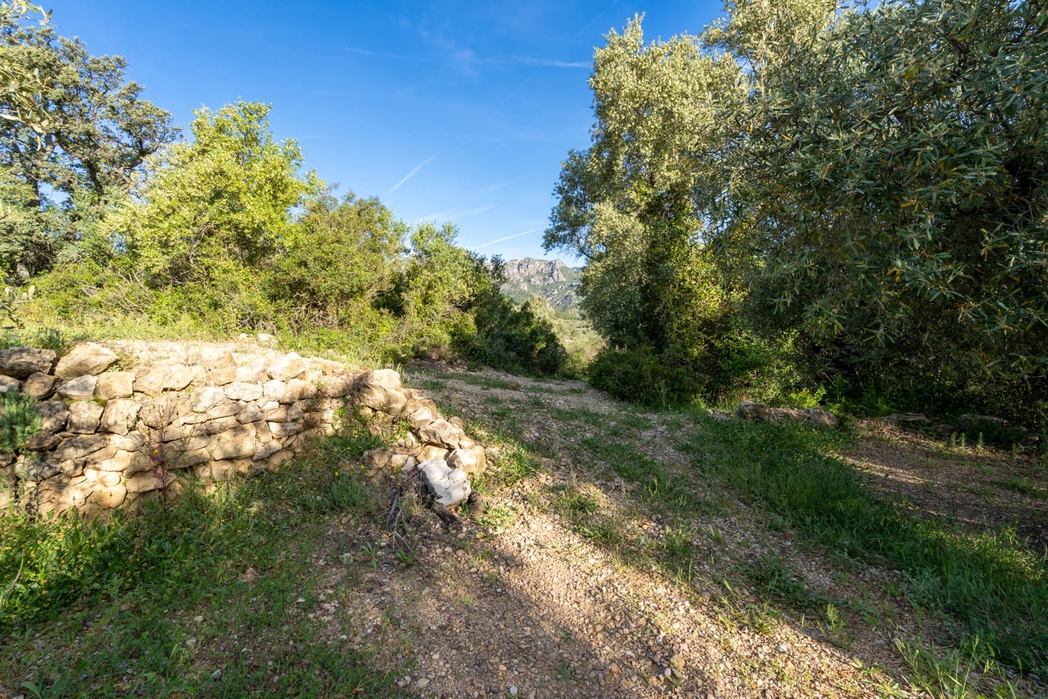 Finca/Herregård til salgs i Mas de Barberans - € 6 000 (Ref: 9008785)