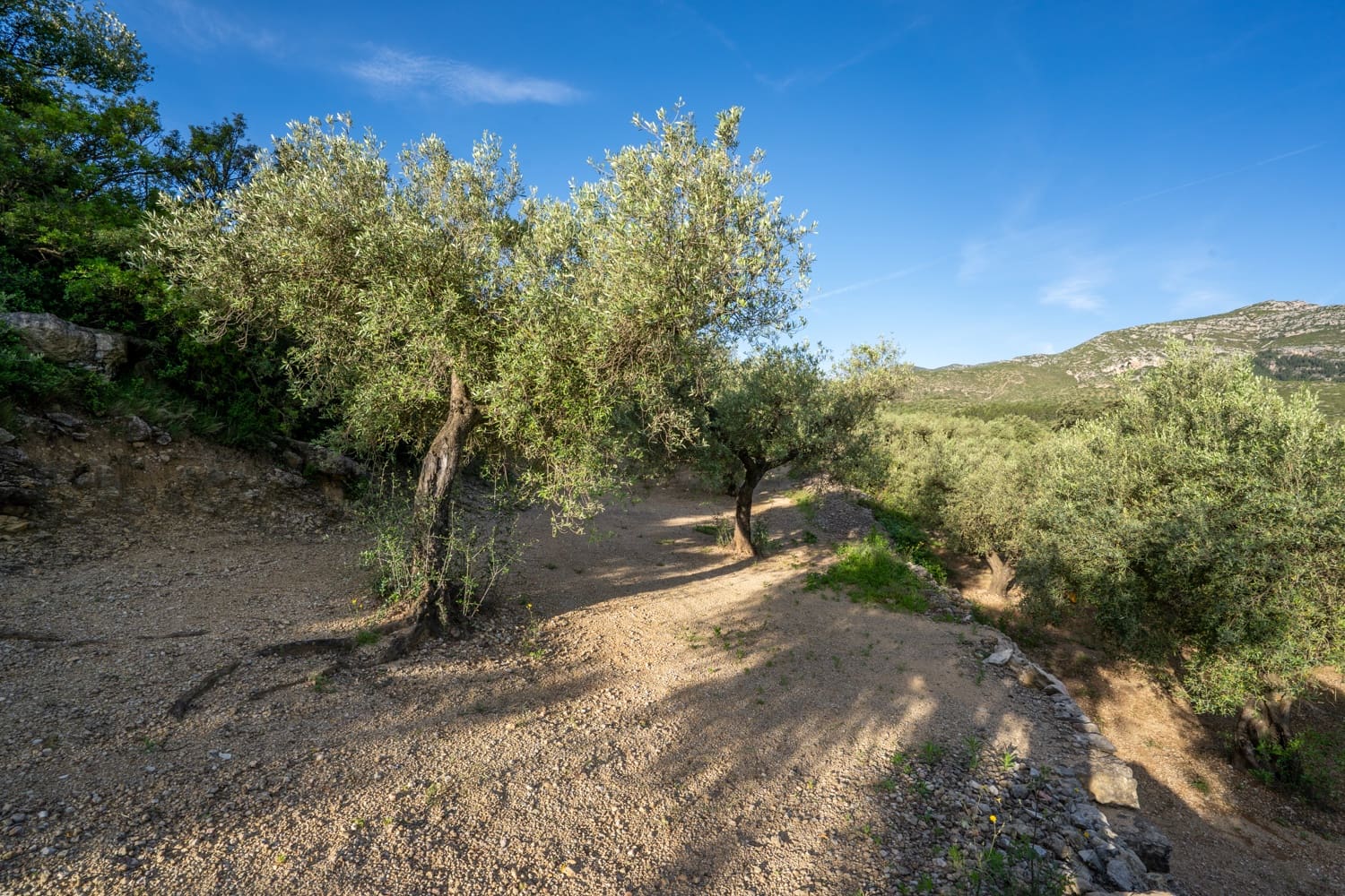 Finca/Herregård til salgs i Mas de Barberans - € 6 000 (Ref: 9008785)