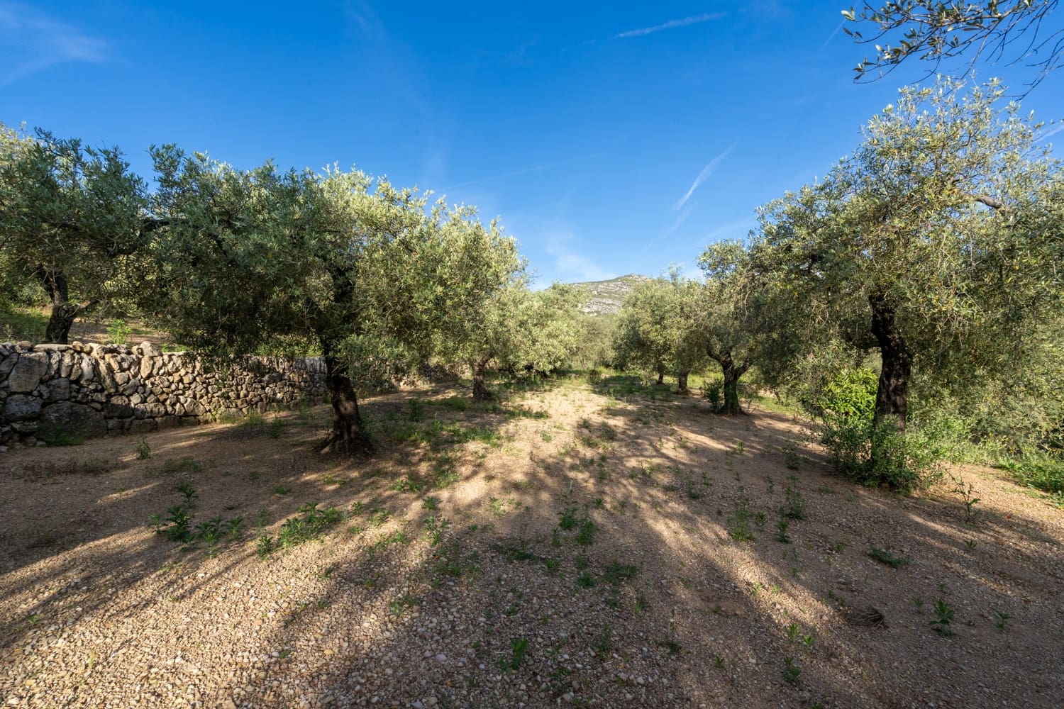 Finca/Herregård til salgs i Mas de Barberans - € 6 000 (Ref: 9008785)