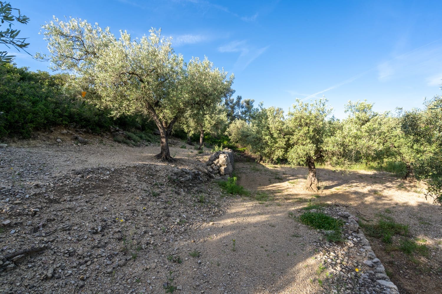 Finca/Herregård til salgs i Mas de Barberans - € 6 000 (Ref: 9008785)