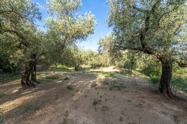 Finca/Herregård til salgs i Mas de Barberans - € 6 000 (Ref: 9008785)