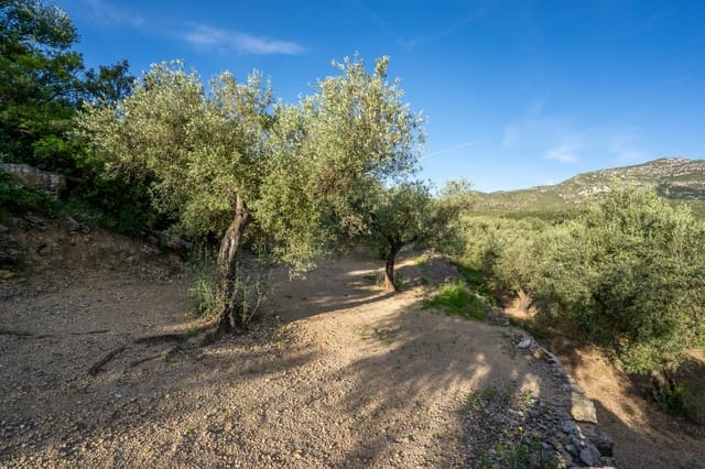 Finca/Herregård til salgs i Mas de Barberans - € 6 000 (Ref: 9008785)