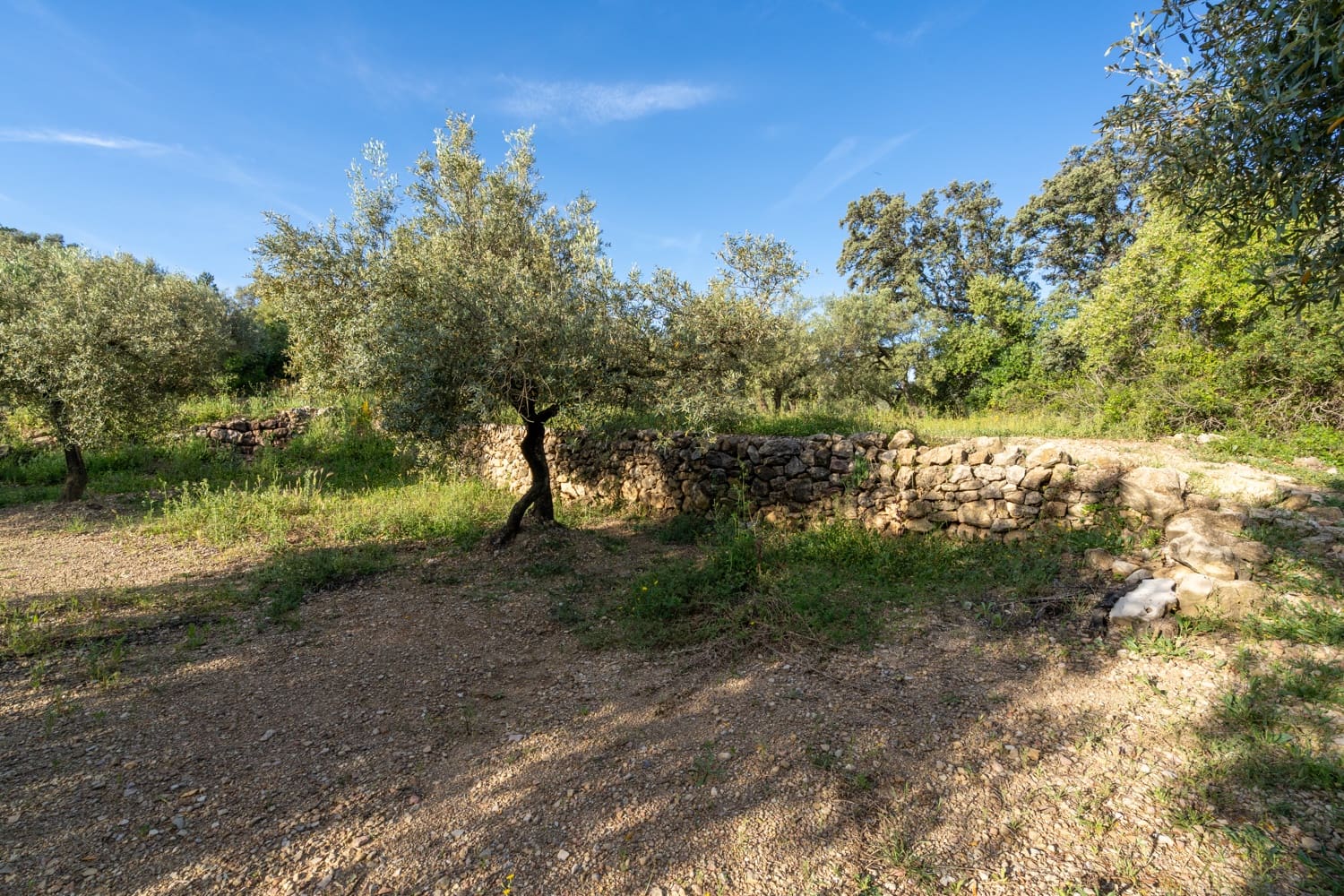 Finca/Herregård til salgs i Mas de Barberans - € 6 000 (Ref: 9008785)