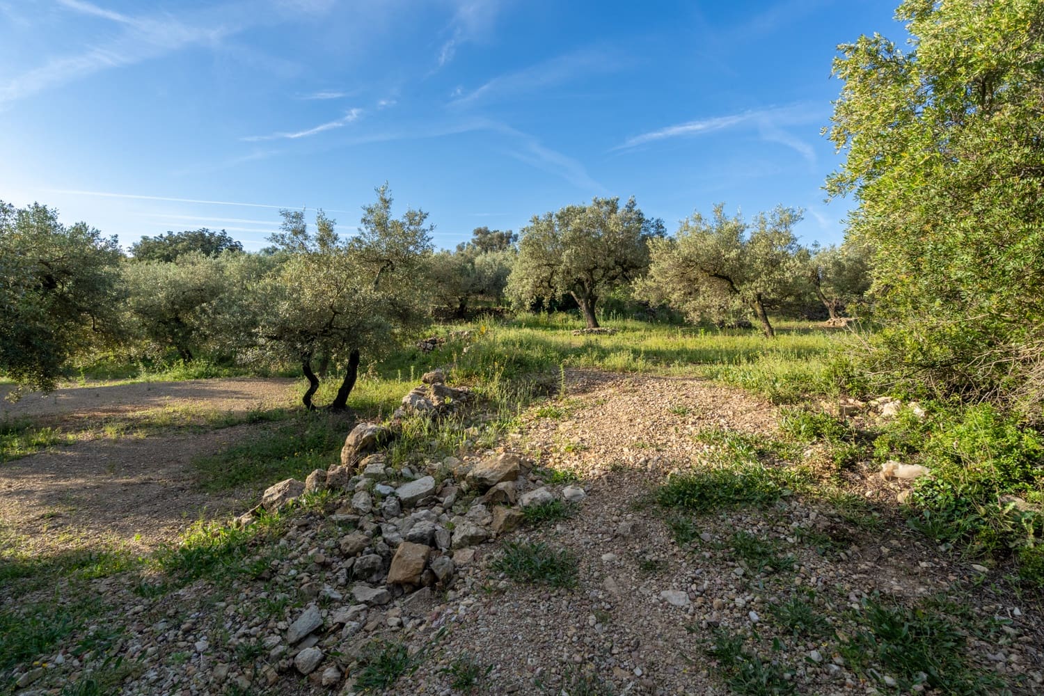 Finca/Herregård til salgs i Mas de Barberans - € 6 000 (Ref: 9008785)