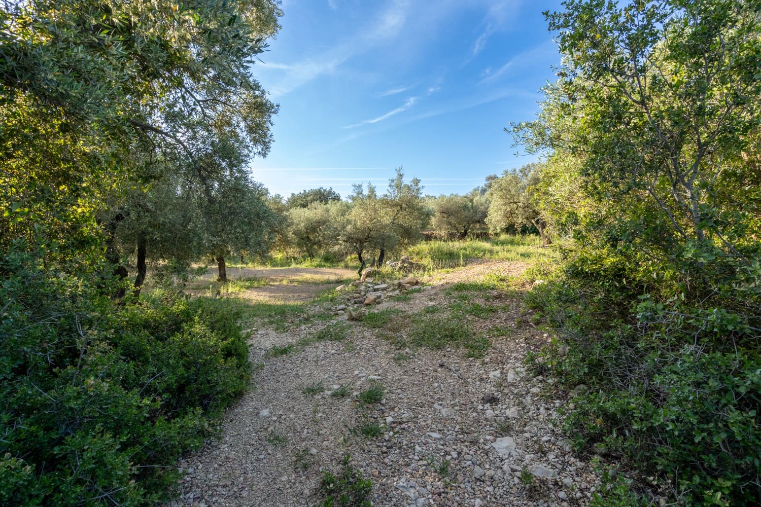 Finca/Herregård til salgs i Mas de Barberans - € 6 000 (Ref: 9008785)