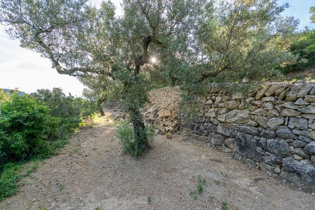 Finca/Herregård til salgs i Mas de Barberans - € 6 000 (Ref: 9008785)