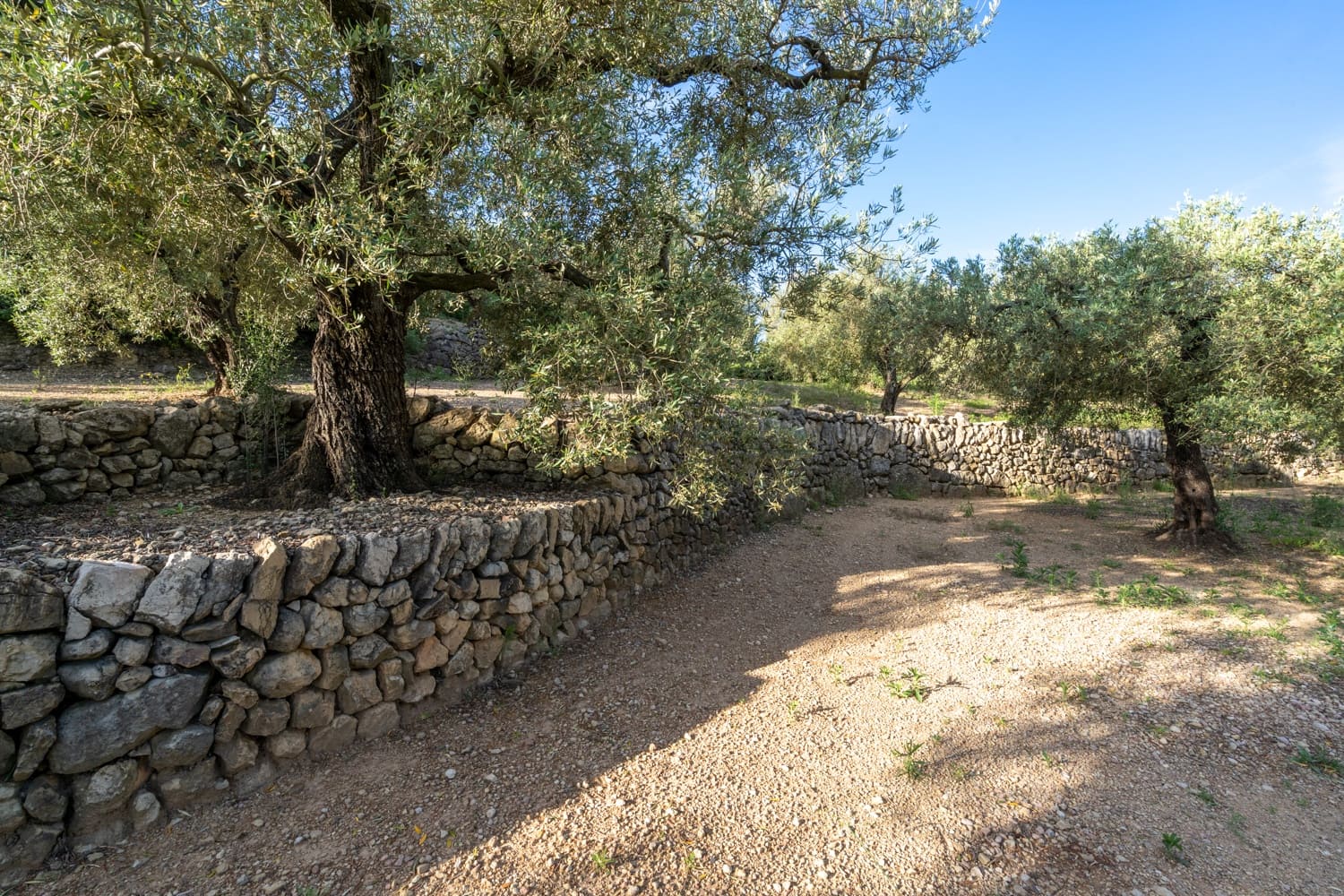 Finca/Herregård til salgs i Mas de Barberans - € 6 000 (Ref: 9008785)