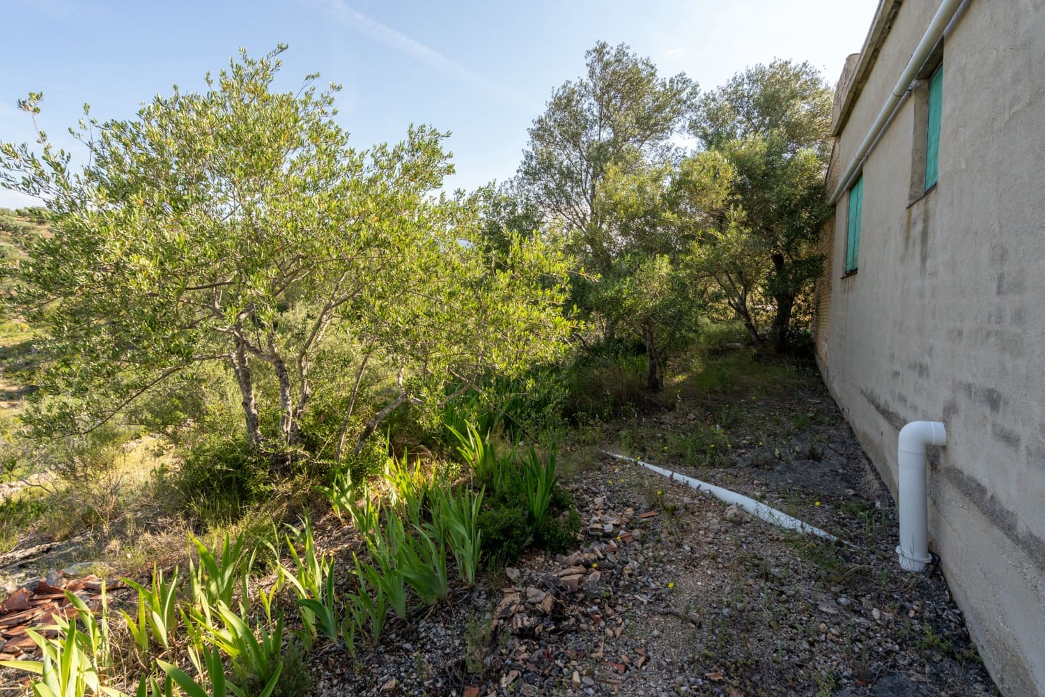 5 sypialnia Finka/Dom wiejski na sprzedaż w Bitem - 214 000 € (Ref: 9013646)