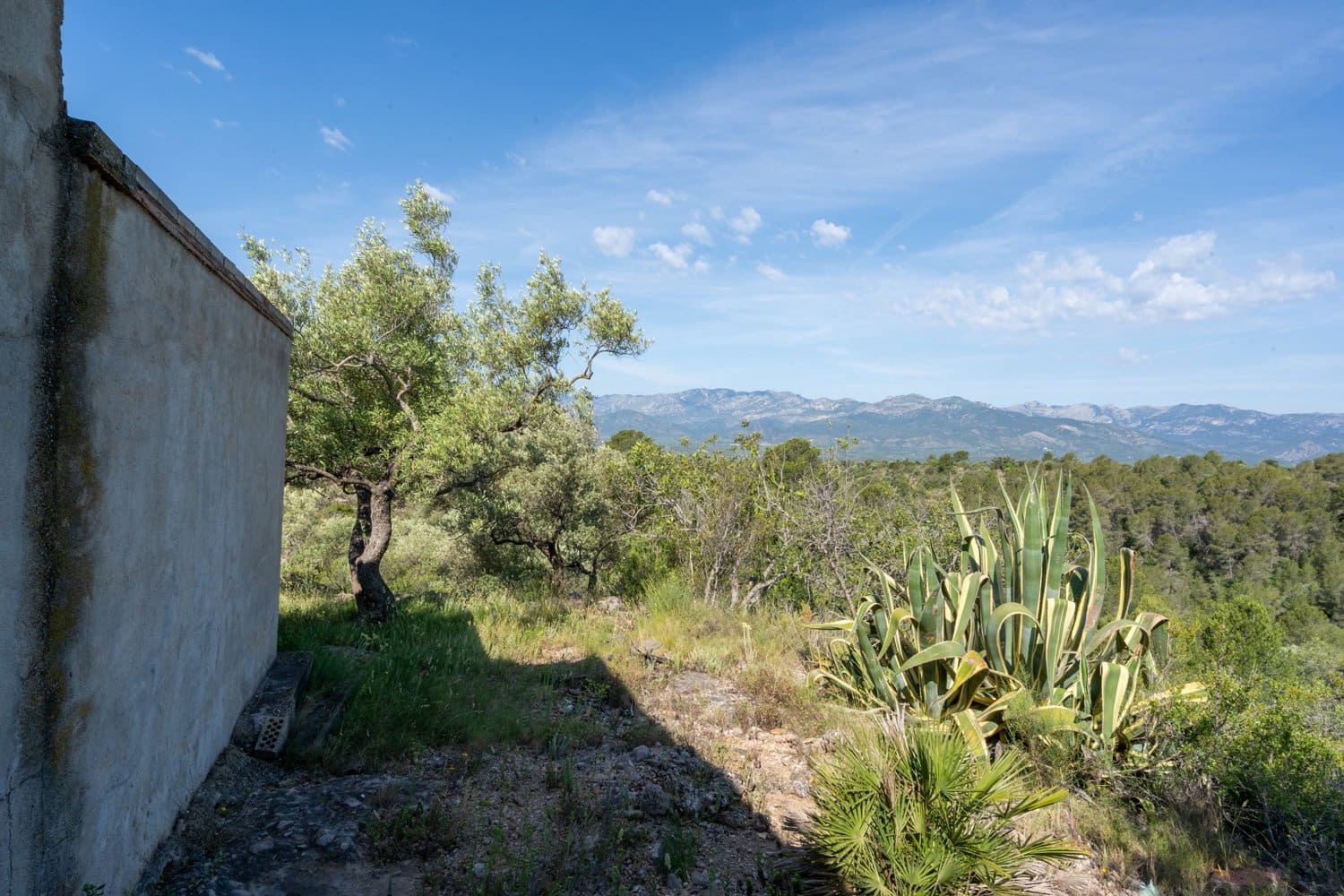 5 bedroom Finca/Country House for sale in Bitem - € 214,000 (Ref: 9013646)