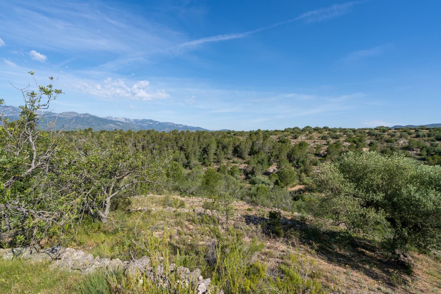 5 bedroom Finca/Country House for sale in Bitem - € 214,000 (Ref: 9013646)