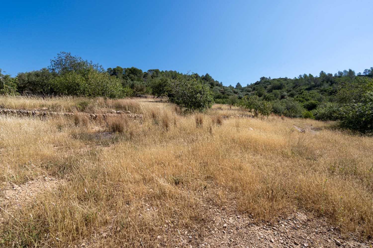 1 soveværelse Finca/Landehus til salg i Camp-redo - € 85.000 (Ref: 9022362)