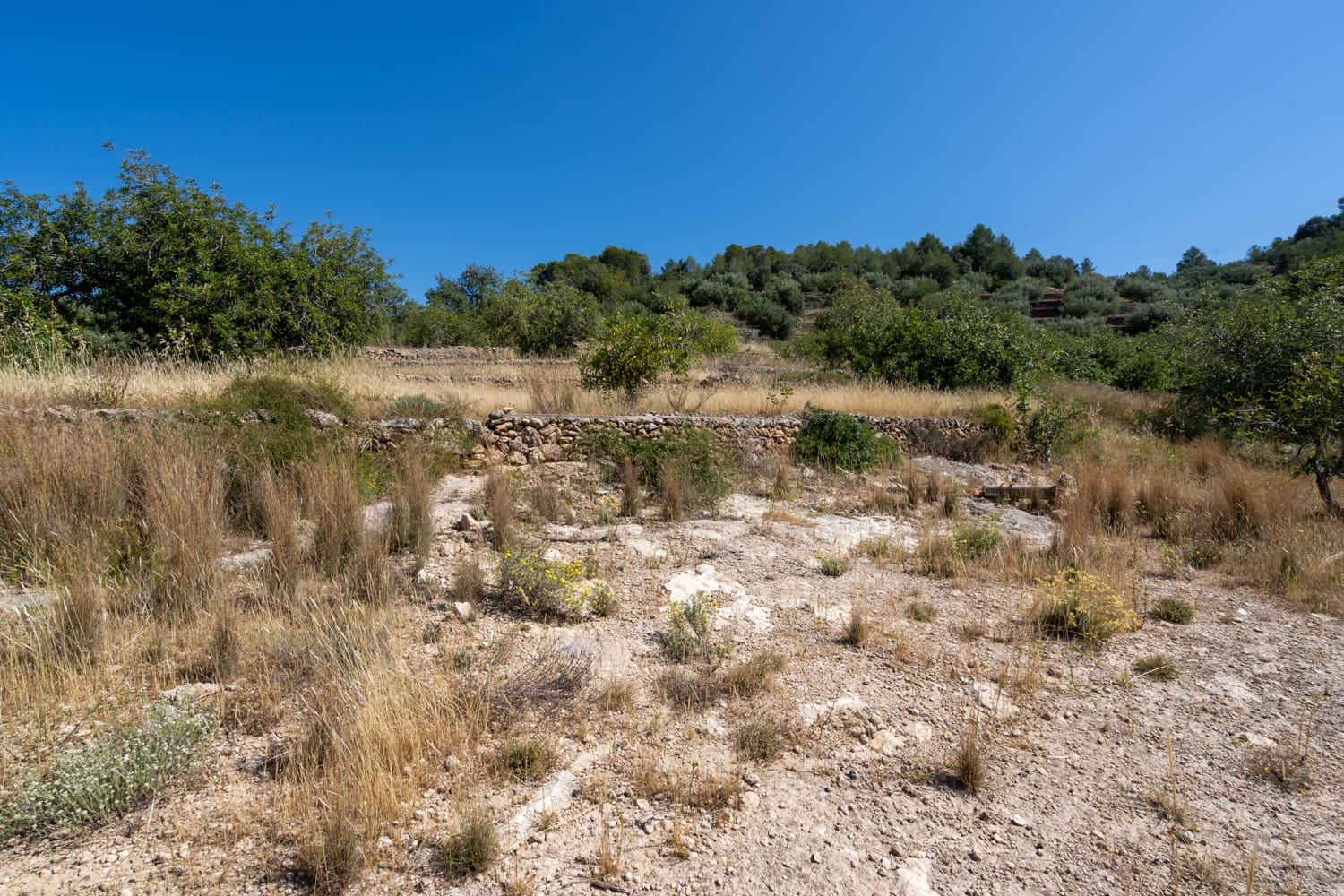 1 soveværelse Finca/Landehus til salg i Camp-redo - € 85.000 (Ref: 9022362)