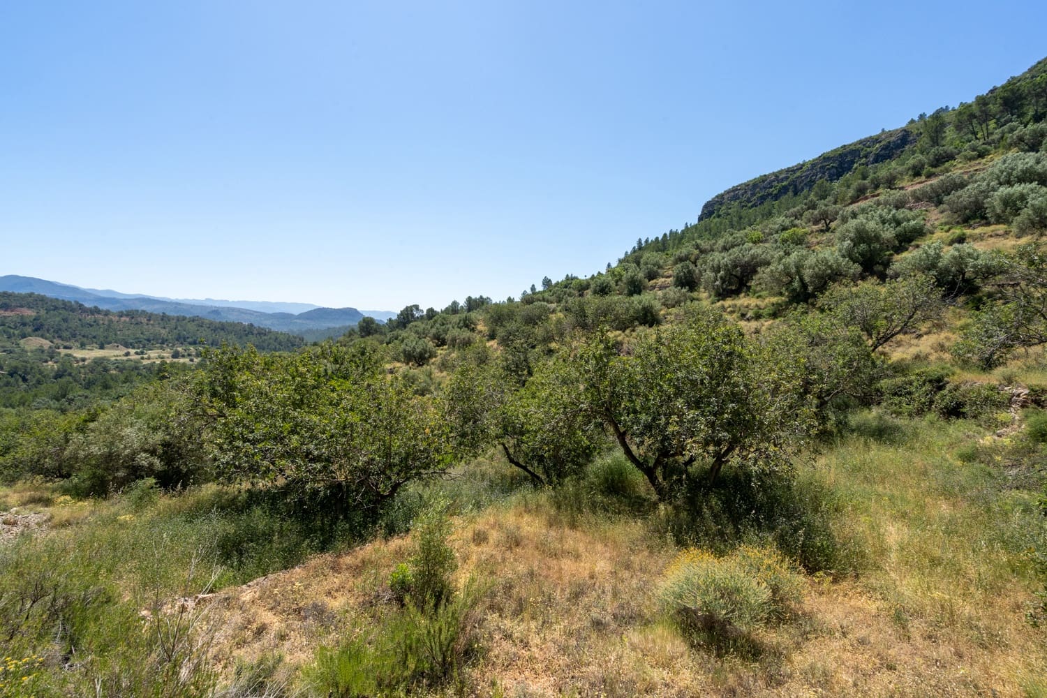 Finca/Landehus til salg i Pauls - € 28.000 (Ref: 9023302)