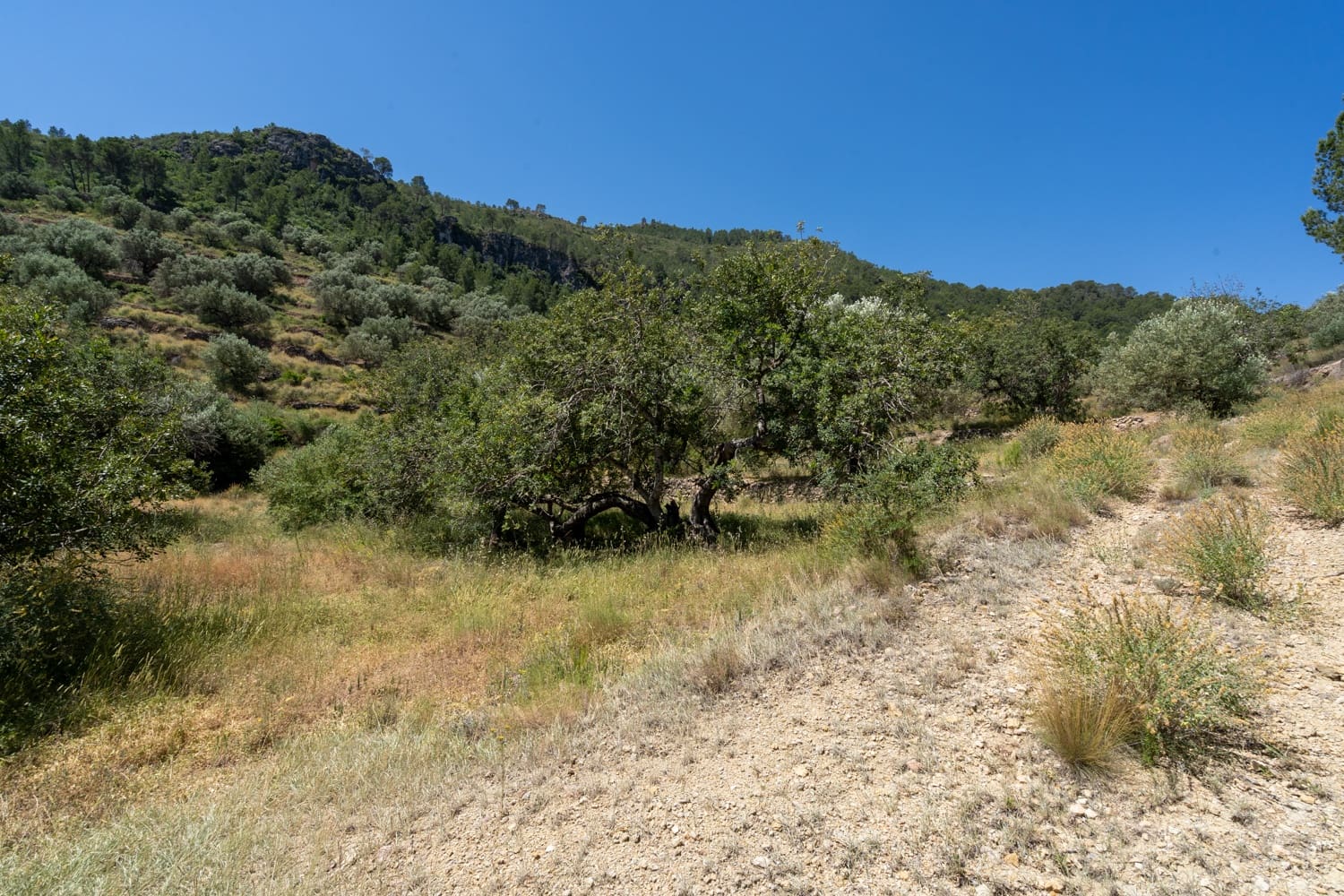 Finca/Landehus til salg i Pauls - € 28.000 (Ref: 9023302)